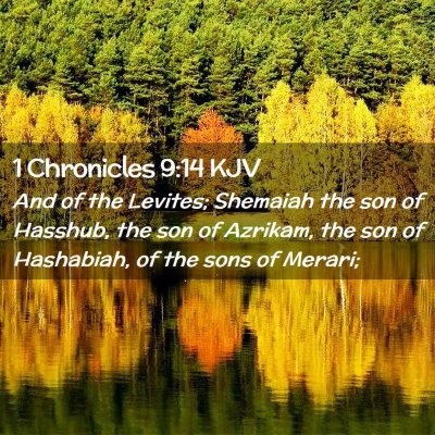 Picture 02 - 1 Chronicles 9:14 KJV - And of the Levites; Shemaiah the son of Hasshub, - Bible Verse Picture
