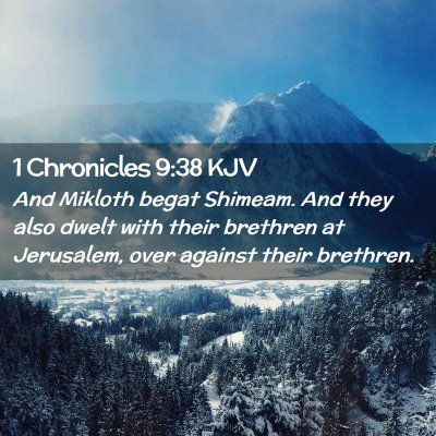 Picture 02 - 1 Chronicles 9:38 KJV - And Mikloth begat Shimeam. And they also dwelt - Bible Verse Picture