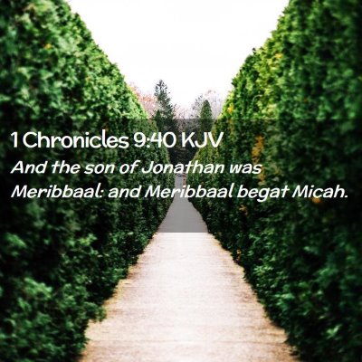 Picture 02 - 1 Chronicles 9:40 KJV - And the son of Jonathan was Meribbaal: and - Bible Verse Picture