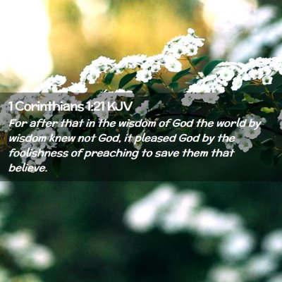 Picture 02 - 1 Corinthians 1:21 KJV - For after that in the wisdom of God the world by - Bible Verse Picture