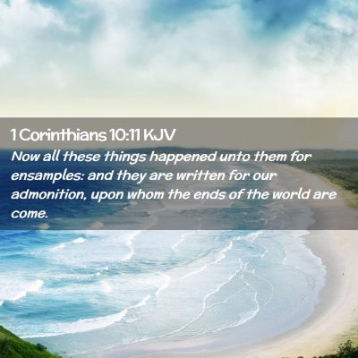 Picture 02 - 1 Corinthians 10:11 KJV - Now all these things happened unto them for - Bible Verse Picture