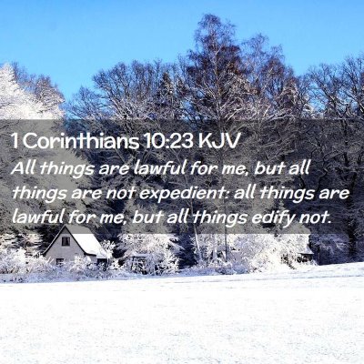 Picture 02 - 1 Corinthians 10:23 KJV - All things are lawful for me, but all things are - Bible Verse Picture