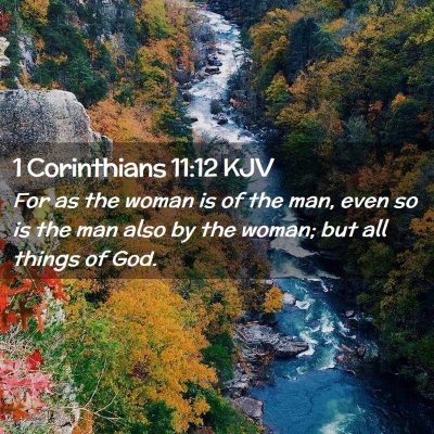 Picture 02 - 1 Corinthians 11:12 KJV - For as the woman is of the man, even so is the - Bible Verse Picture