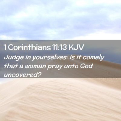 Picture 02 - 1 Corinthians 11:13 KJV - Judge in yourselves: is it comely that a woman - Bible Verse Picture