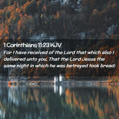 Picture 02 - 1 Corinthians 11:23 KJV - For I have received of the Lord that which also I - Bible Verse Picture