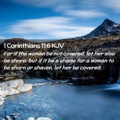 Picture 02 - 1 Corinthians 11:6 KJV - For if the woman be not covered, let her also be - Bible Verse Picture