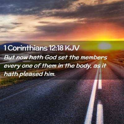 Picture 02 - 1 Corinthians 12:18 KJV - But now hath God set the members every one of - Bible Verse Picture