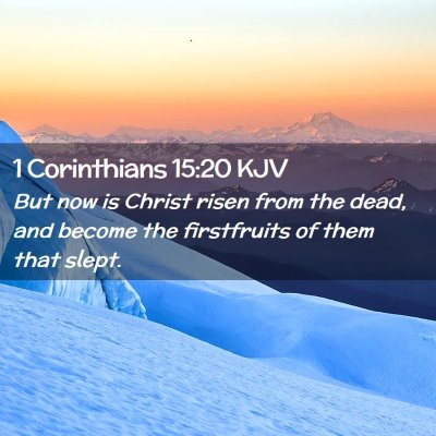 Picture 02 - 1 Corinthians 15:20 KJV - But now is Christ risen from the dead, and become - Bible Verse Picture