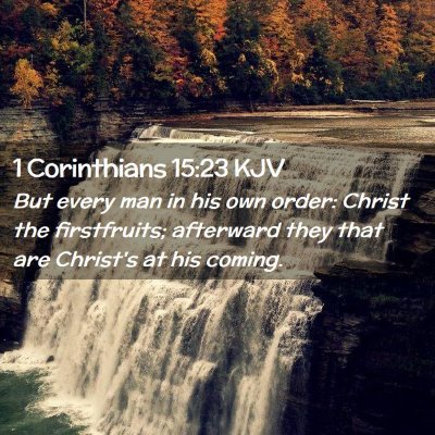 Picture 02 - 1 Corinthians 15:23 KJV - But every man in his own order: Christ the - Bible Verse Picture