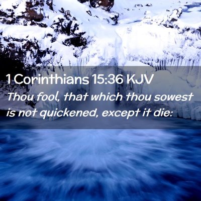 Picture 02 - 1 Corinthians 15:36 KJV - Thou fool, that which thou sowest is not - Bible Verse Picture