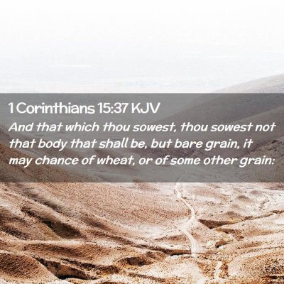 Picture 02 - 1 Corinthians 15:37 KJV - And that which thou sowest, thou sowest not that - Bible Verse Picture