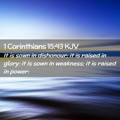 Picture 02 - 1 Corinthians 15:43 KJV - It is sown in dishonour; it is raised in glory: - Bible Verse Picture