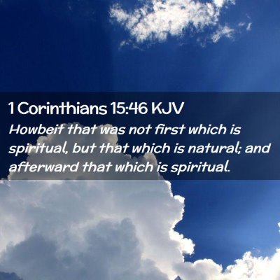 Picture 02 - 1 Corinthians 15:46 KJV - Howbeit that was not first which is spiritual, - Bible Verse Picture