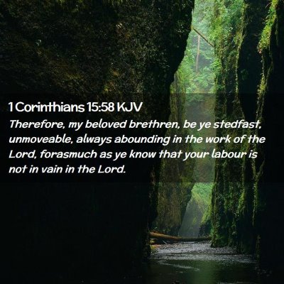 Picture 02 - 1 Corinthians 15:58 KJV - Therefore, my beloved brethren, be ye stedfast, - Bible Verse Picture