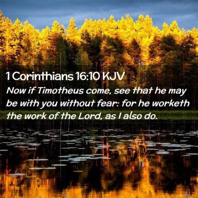 Picture 02 - 1 Corinthians 16:10 KJV - Now if Timotheus come, see that he may be with - Bible Verse Picture