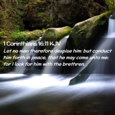 Picture 02 - 1 Corinthians 16:11 KJV - Let no man therefore despise him: but conduct him - Bible Verse Picture