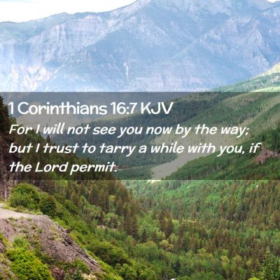 Picture 02 - 1 Corinthians 16:7 KJV - For I will not see you now by the way; but I - Bible Verse Picture