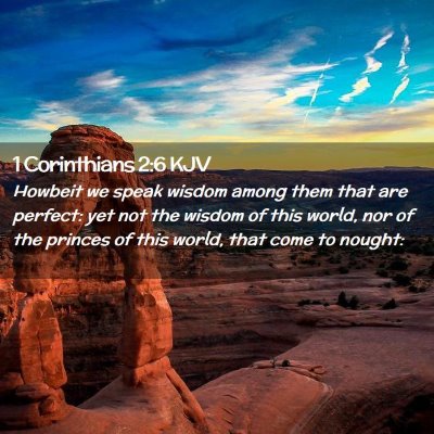 Picture 02 - 1 Corinthians 2:6 KJV - Howbeit we speak wisdom among them that are - Bible Verse Picture