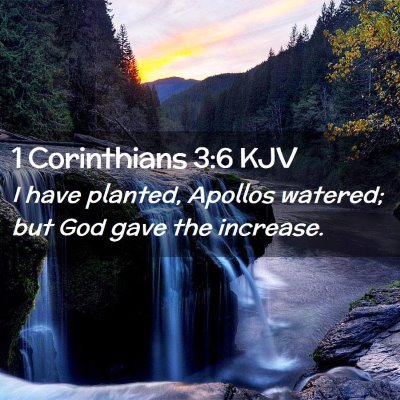 Picture 02 - 1 Corinthians 3:6 KJV - I have planted, Apollos watered; but God gave the - Bible Verse Picture