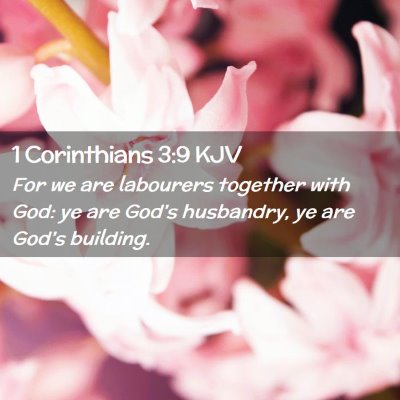 Picture 02 - 1 Corinthians 3:9 KJV - For we are labourers together with God: ye are - Bible Verse Picture
