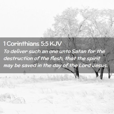 Picture 02 - 1 Corinthians 5:5 KJV - To deliver such an one unto Satan for the - Bible Verse Picture