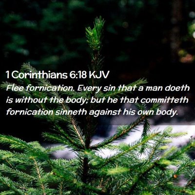Picture 02 - 1 Corinthians 6:18 KJV - Flee fornication. Every sin that a man doeth is - Bible Verse Picture