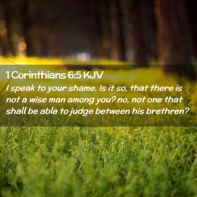 Picture 02 - 1 Corinthians 6:5 KJV - I speak to your shame. Is it so, that there is - Bible Verse Picture