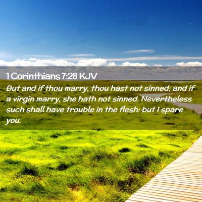 Picture 02 - 1 Corinthians 7:28 KJV - But and if thou marry, thou hast not sinned; and - Bible Verse Picture