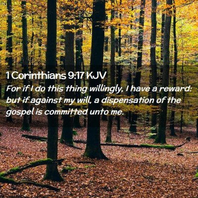 Picture 02 - 1 Corinthians 9:17 KJV - For if I do this thing willingly, I have a - Bible Verse Picture