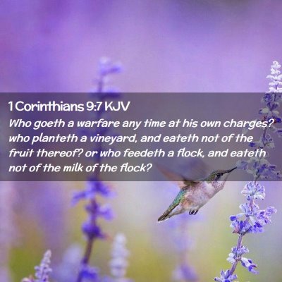 Picture 02 - 1 Corinthians 9:7 KJV - Who goeth a warfare any time at his own charges? - Bible Verse Picture