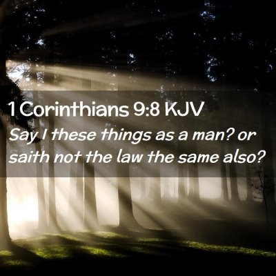 Picture 02 - 1 Corinthians 9:8 KJV - Say I these things as a man? or saith not the law - Bible Verse Picture