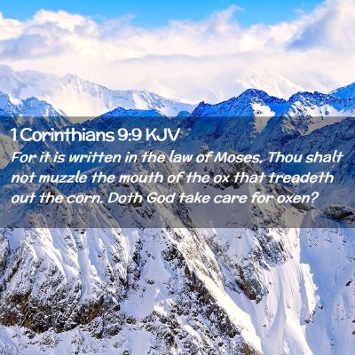 Picture 02 - 1 Corinthians 9:9 KJV - For it is written in the law of Moses, Thou shalt - Bible Verse Picture
