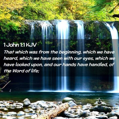Picture 02 - 1 John 1:1 KJV - That which was from the beginning, which we have - Bible Verse Picture