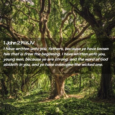 Picture 02 - 1 John 2:14 KJV - I have written unto you, fathers, because ye have - Bible Verse Picture
