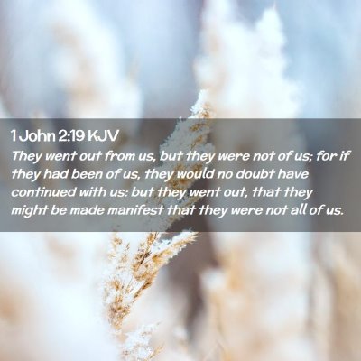 Picture 02 - 1 John 2:19 KJV - They went out from us, but they were not of us; - Bible Verse Picture