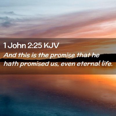 Picture 02 - 1 John 2:25 KJV - And this is the promise that he hath promised us, - Bible Verse Picture
