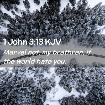 Picture 02 - 1 John 3:13 KJV - Marvel not, my brethren, if the world hate - Bible Verse Picture