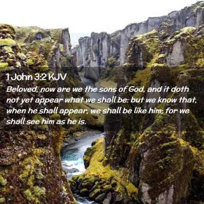 Picture 02 - 1 John 3:2 KJV - Beloved, now are we the sons of God, and it doth - Bible Verse Picture
