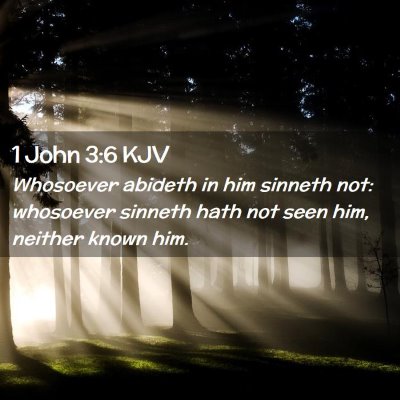 Picture 02 - 1 John 3:6 KJV - Whosoever abideth in him sinneth not: whosoever - Bible Verse Picture