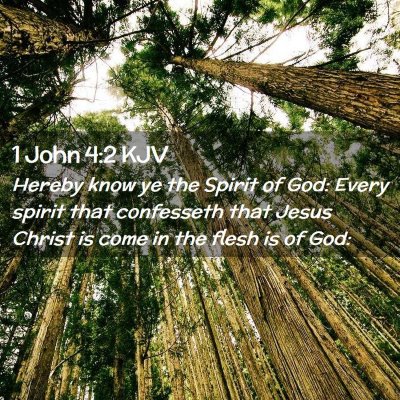Picture 02 - 1 John 4:2 KJV - Hereby know ye the Spirit of God: Every spirit - Bible Verse Picture