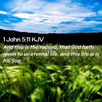 Picture 02 - 1 John 5:11 KJV - And this is the record, that God hath given to us - Bible Verse Picture