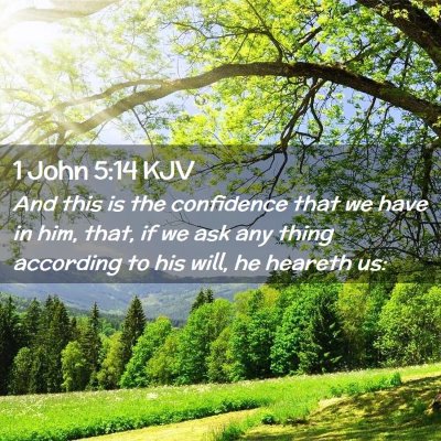 Picture 02 - 1 John 5:14 KJV - And this is the confidence that we have in him, - Bible Verse Picture