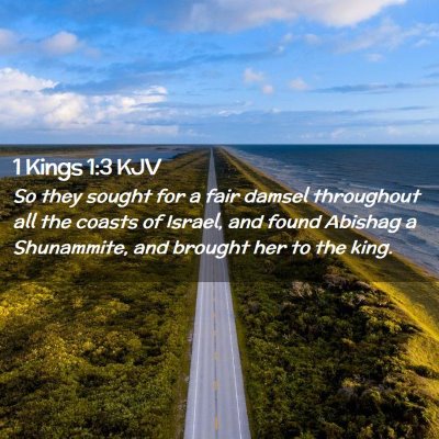Picture 02 - 1 Kings 1:3 KJV - So they sought for a fair damsel throughout all - Bible Verse Picture