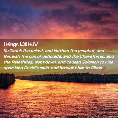 Picture 02 - 1 Kings 1:38 KJV - So Zadok the priest, and Nathan the prophet, and - Bible Verse Picture