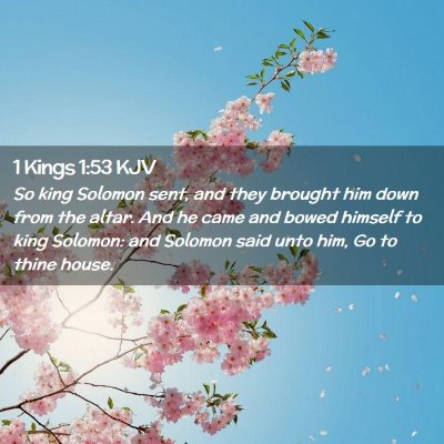 Picture 02 - 1 Kings 1:53 KJV - So king Solomon sent, and they brought him down - Bible Verse Picture
