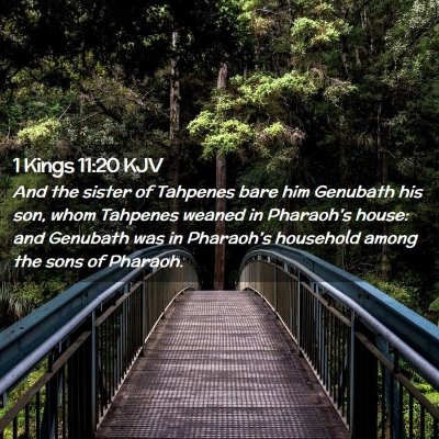 Picture 02 - 1 Kings 11:20 KJV - And the sister of Tahpenes bare him Genubath his - Bible Verse Picture