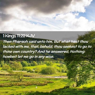 Picture 02 - 1 Kings 11:22 KJV - Then Pharaoh said unto him, But what hast thou - Bible Verse Picture