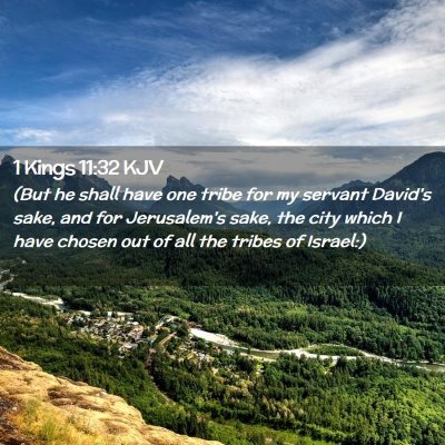 Picture 02 - 1 Kings 11:32 KJV - (But he shall have one tribe for my servant - Bible Verse Picture