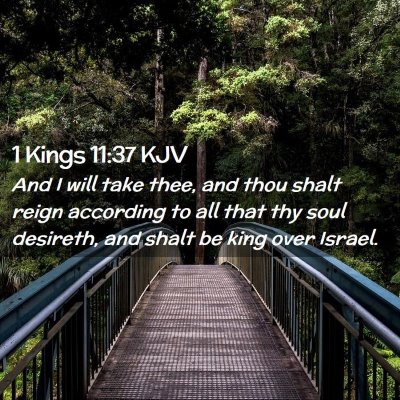 Picture 02 - 1 Kings 11:37 KJV - And I will take thee, and thou shalt reign - Bible Verse Picture