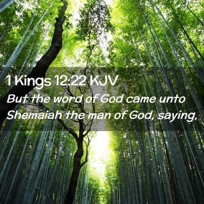 Picture 02 - 1 Kings 12:22 KJV - But the word of God came unto Shemaiah the man of - Bible Verse Picture